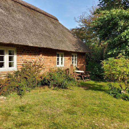 Ringkobing Fjord B&B Skjern Zewnętrze zdjęcie