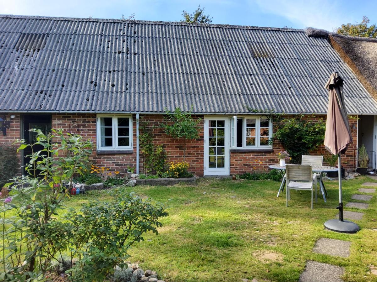 Ringkobing Fjord B&B Skjern Zewnętrze zdjęcie