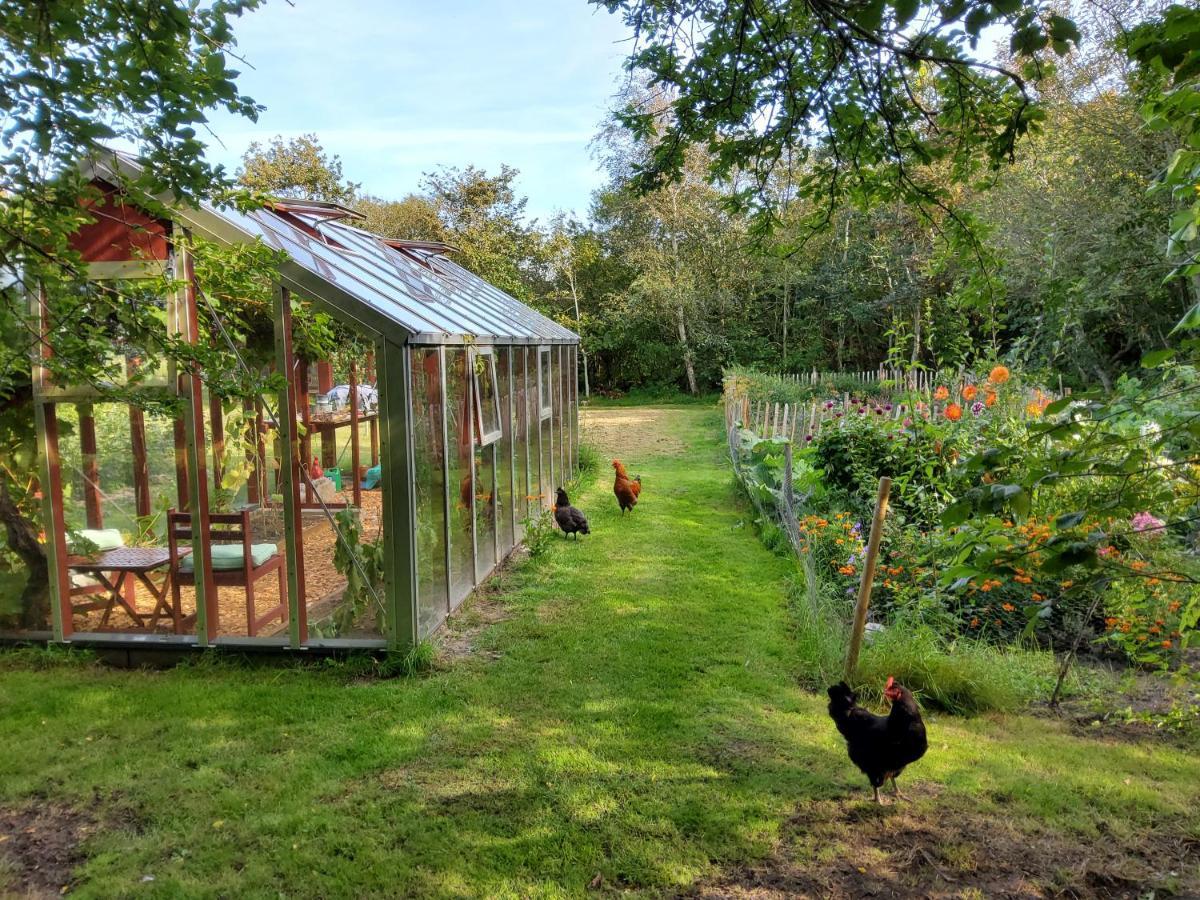 Ringkobing Fjord B&B Skjern Zewnętrze zdjęcie