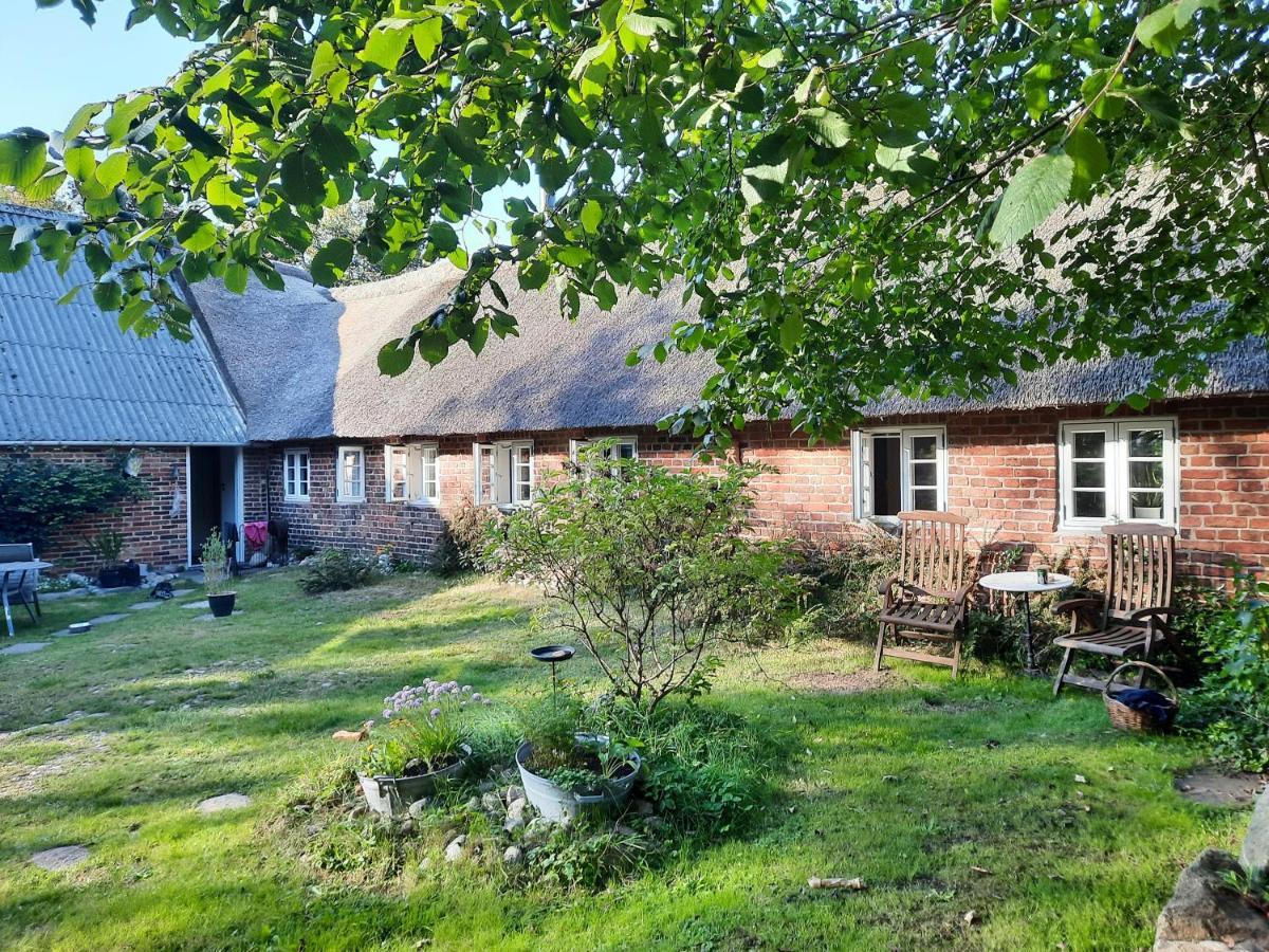 Ringkobing Fjord B&B Skjern Zewnętrze zdjęcie